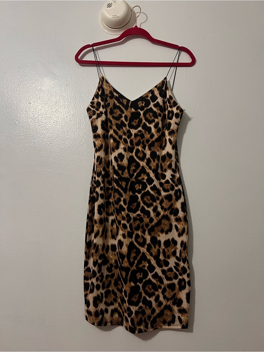 Mini Cheetah 🦁